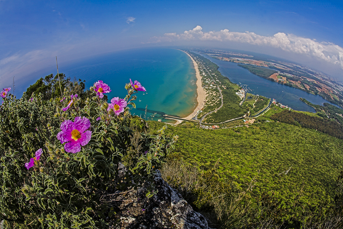 Homo Ambiens Il Parco Nel Mito E Nella Preistoria Parco Nazionale Del Circeo