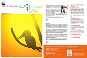 Homo ambiens likes Panda - WWF International