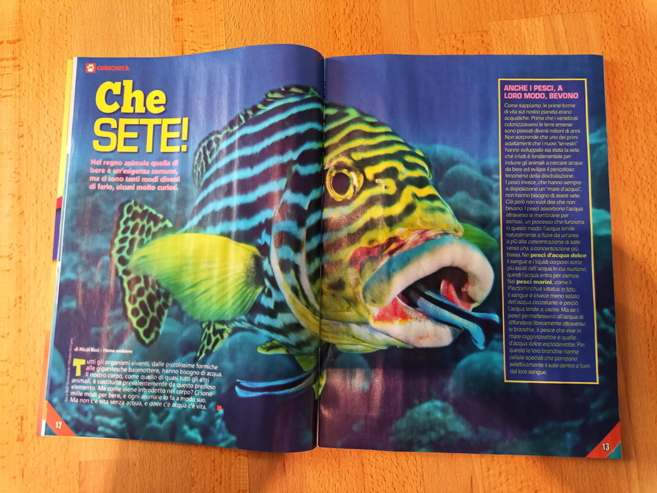 Su Focus Wild di agosto il nostro articolo “Che sete”