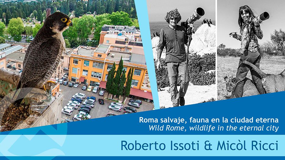 Wild Rome al Montphoto Fest 2022 di Lloret de Mar, Catalogna – Spagna
