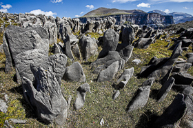 Il Quebrantahuesos, lo Spaccatore di Ossa   Pirenei