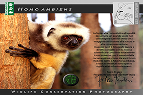 Wildlife Conservation Photography story 