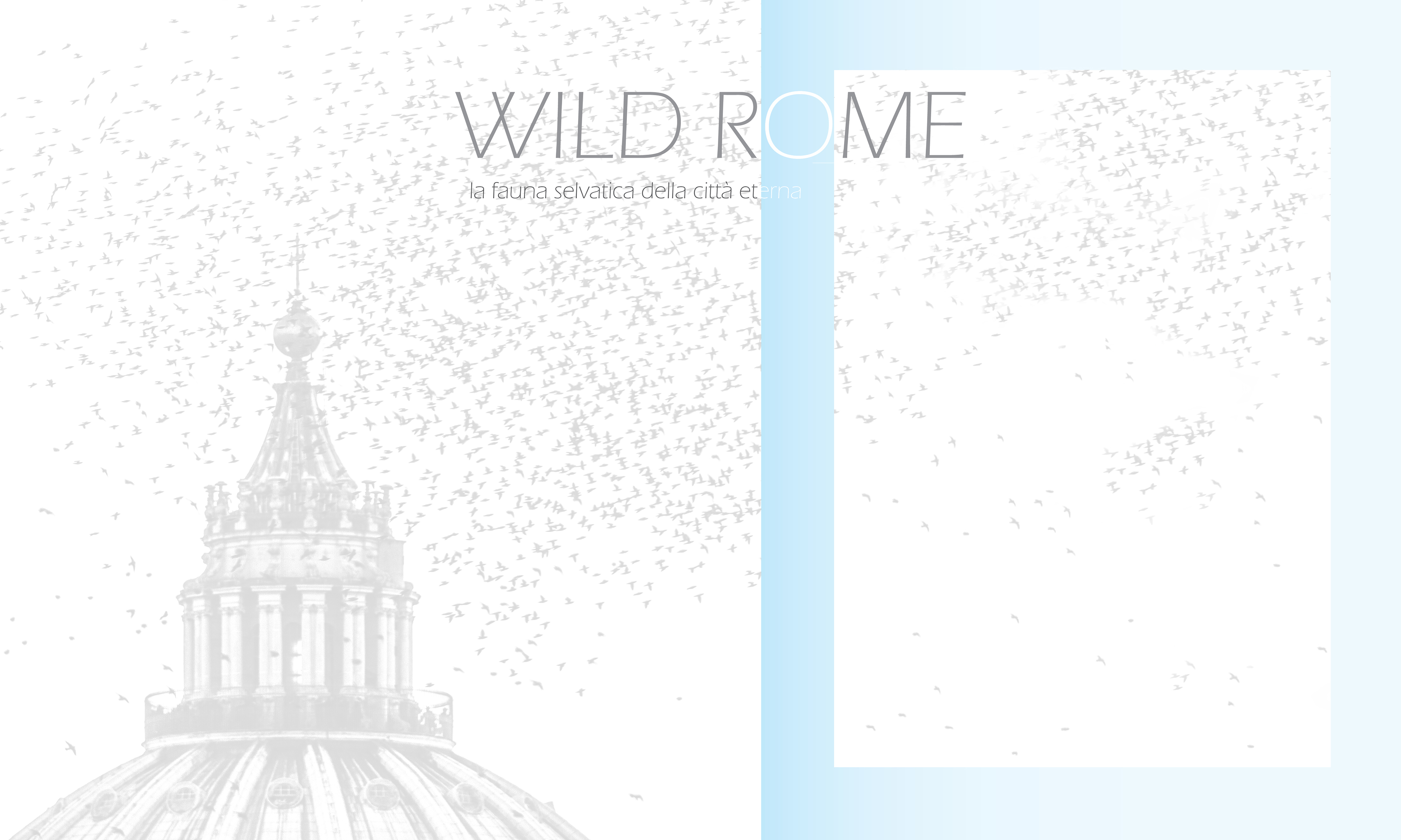 WILD ROME