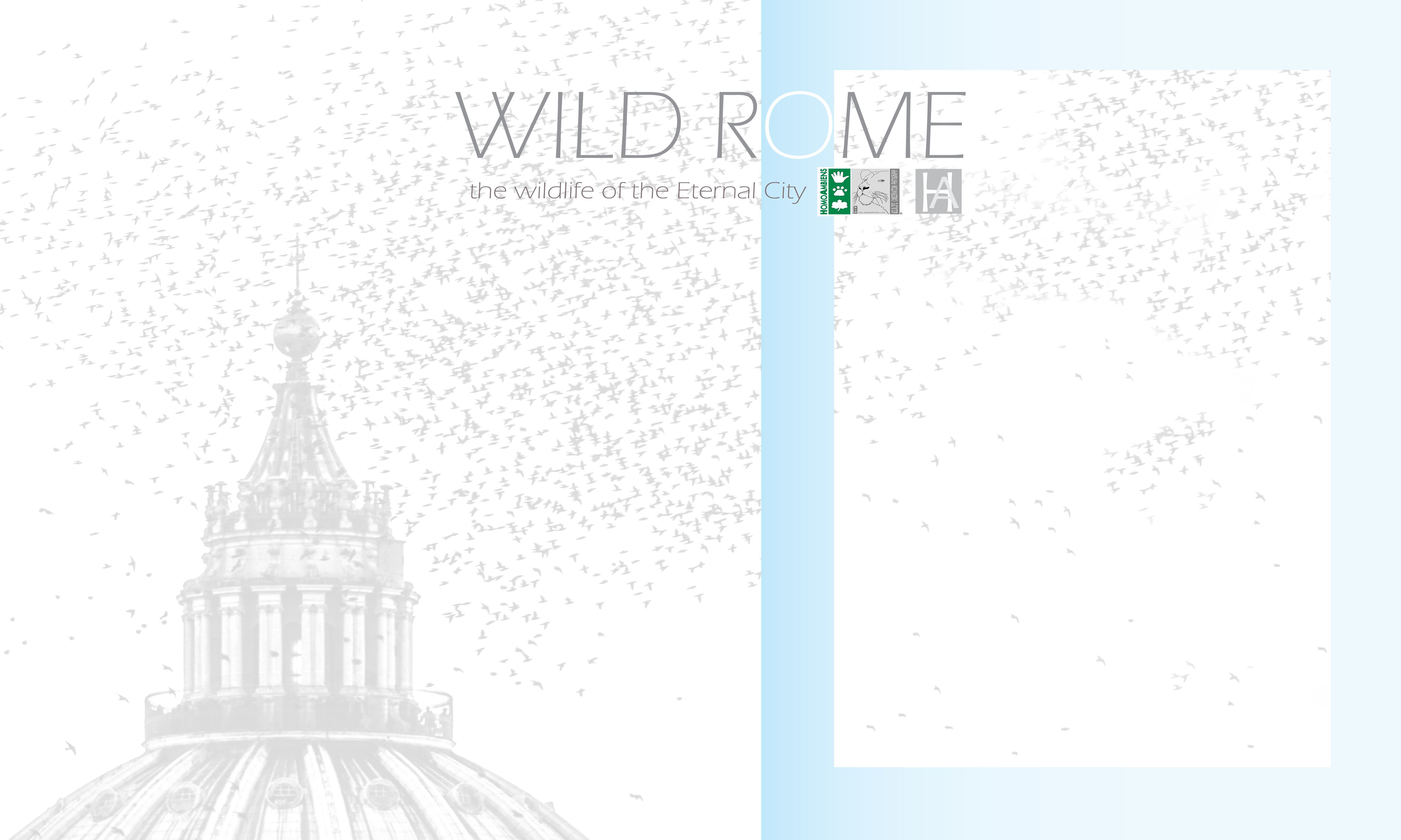 WILD ROME