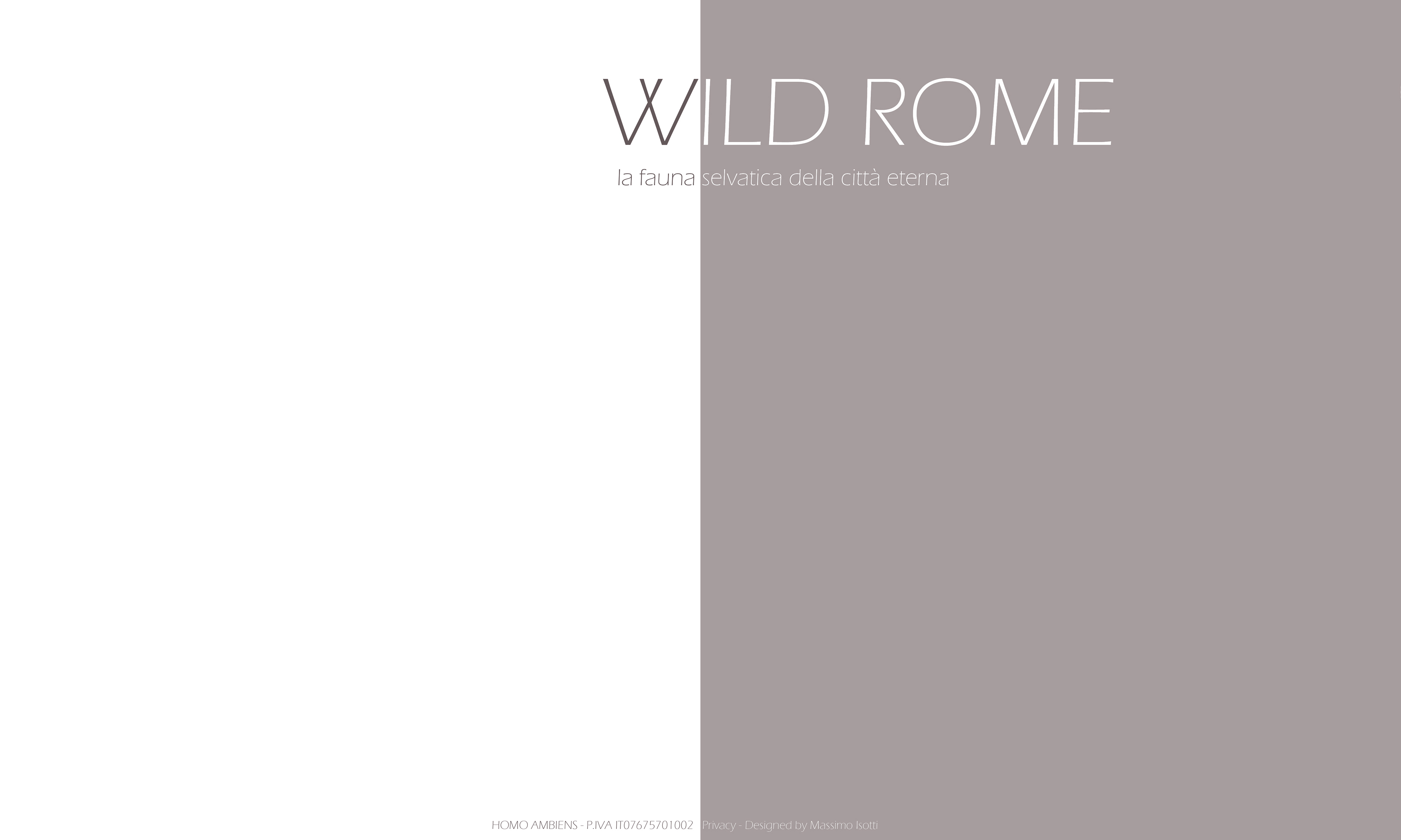 WILD ROME